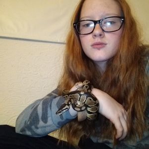 Meet your Posher, Morgan